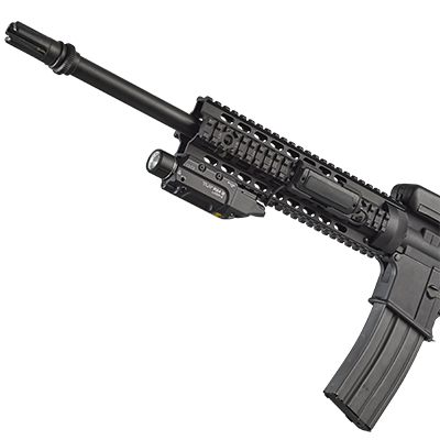 TLR RM 2 Laser-G on Long Gun
